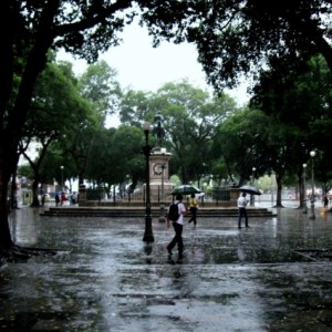 Pouring rain on a park