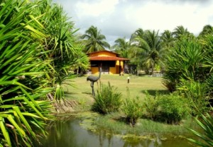 Pousada Coté Sud surrounded by lush green vegetation