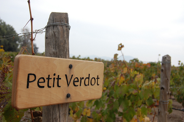 View of wooden sign reading Petit Verdot tacked to the end of a row of grapes.