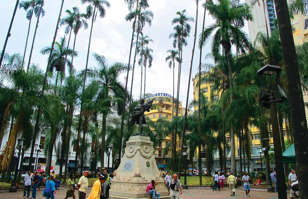 Playa Cayzedo is filled with towering palms. Photo © Andrew Dier.