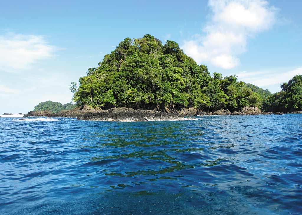 Parque Nacional Natural Utría on the Pacific coast of Colombia. Photo © Andrew Dier.