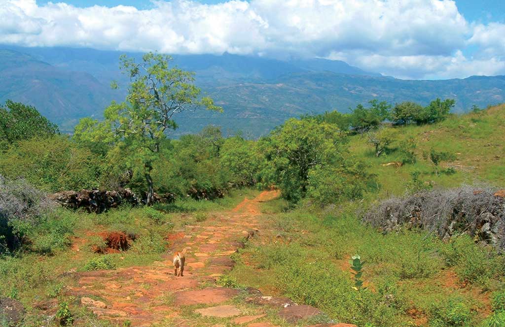 The Camino Real between Barichara and Guane. Photo © Andrew Dier.