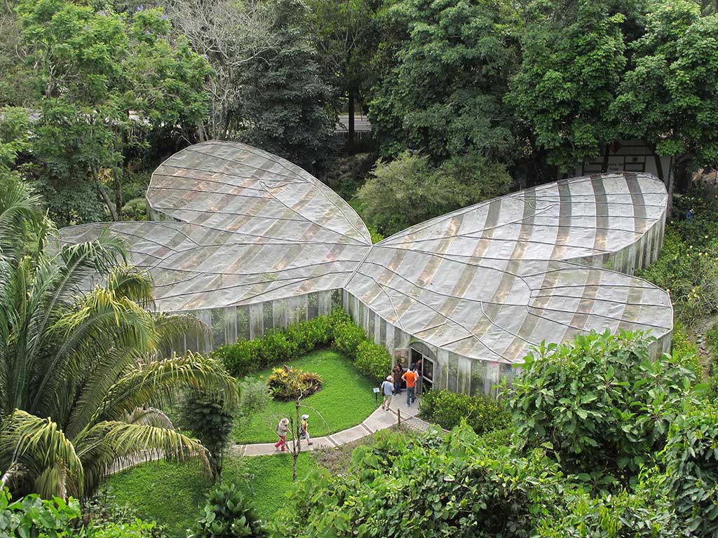 The mariposario (enclosed butterfly garden) at the Jardín Botánico del Quindío. Photo © Andrew Dier.