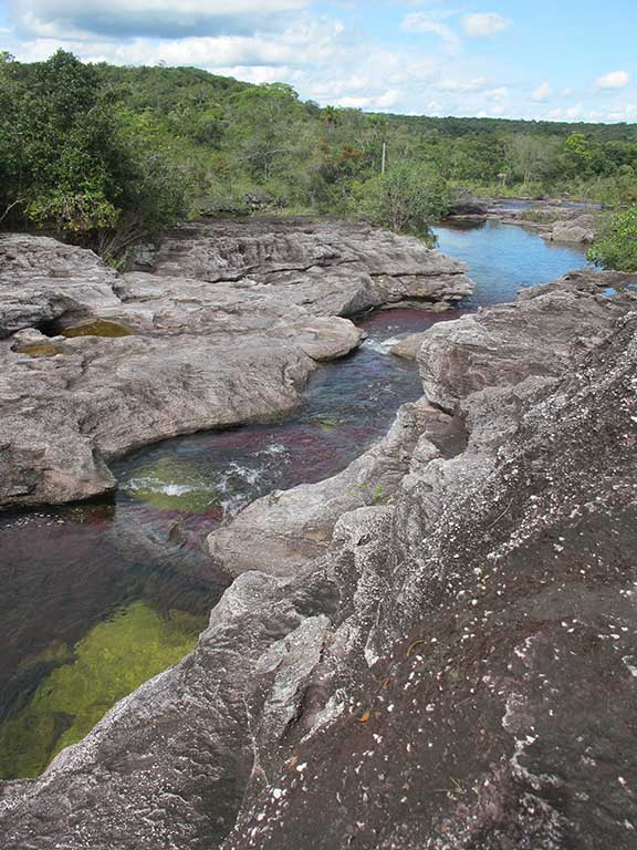 The colorful pools of Caño Cristales. Photo © Andrew Dier.