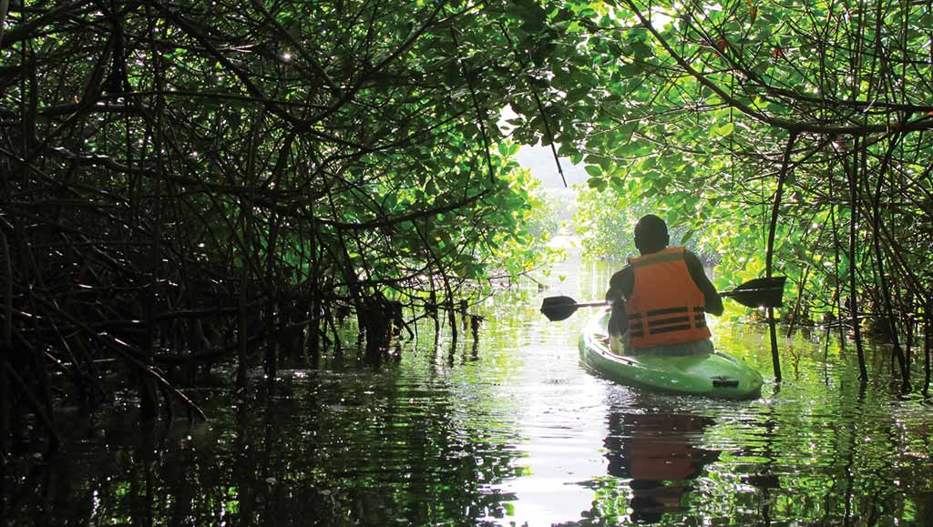 Kayaking in Providencia. Photo © Andrew Dier.