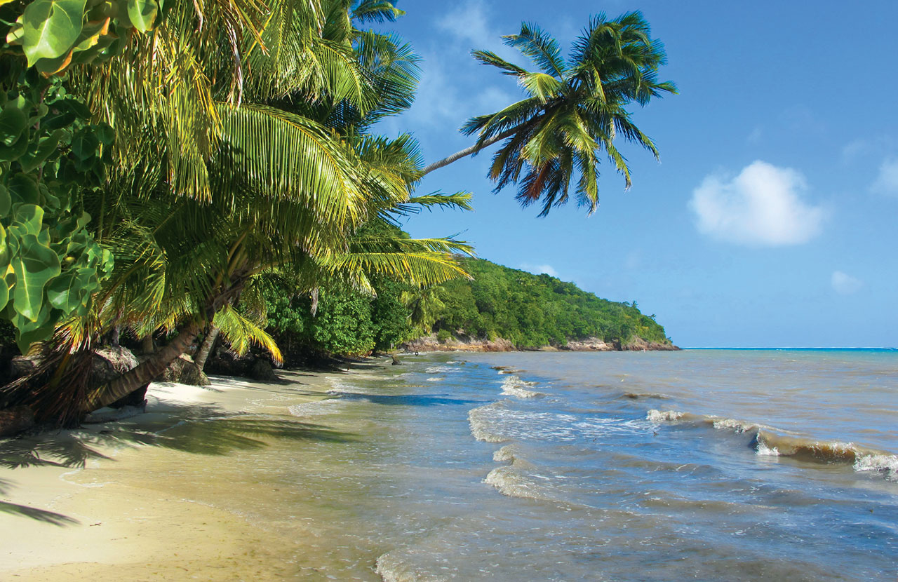 A beach in Providencia. Photo © Andrew Dier.