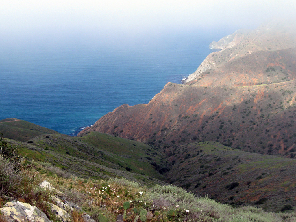 View from Santa Catalina. Photo © <a href="https://www.flickr.com/photos/simonov/7388704736/">Mitch Barrie</a>, licensed Creative Commons Attribution.