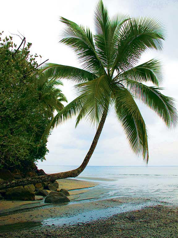 Parque Nacional Natural Isla Gorgona. Photo © Andrew Dier.