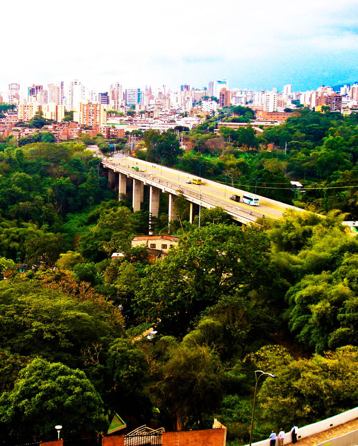 Green trees surround a bridge leading in to Bucaramanga, Colombia.