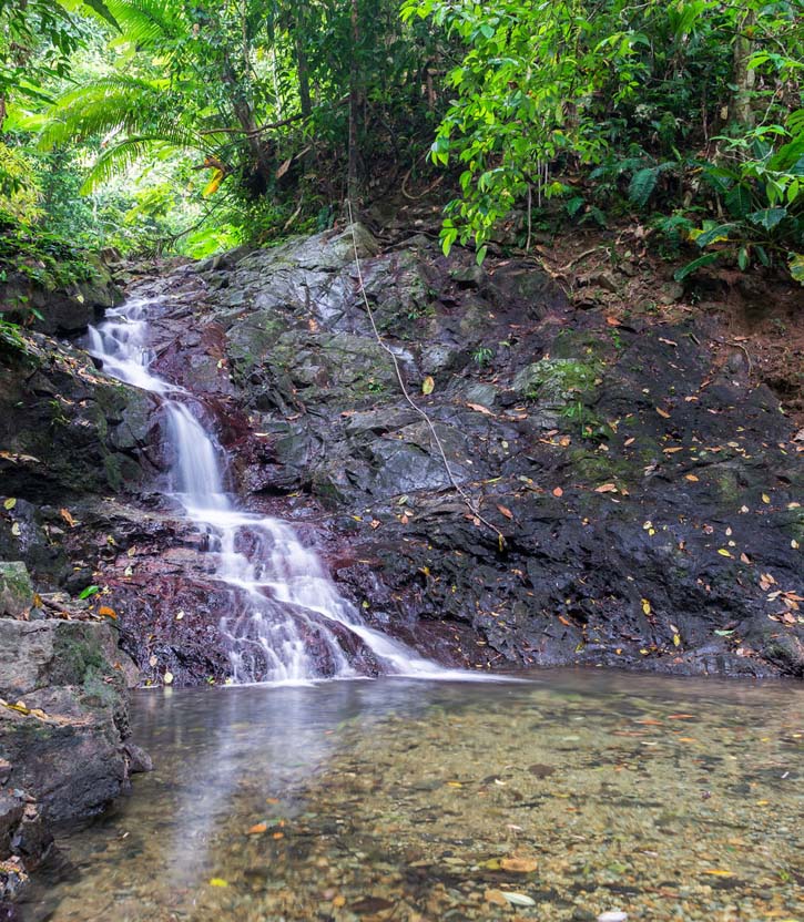 Small waterfall in a dense tropical rainforest near Capurgana, Colombia.