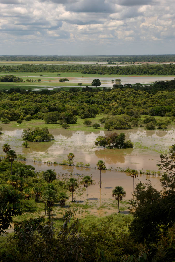A flooded grassland plain.