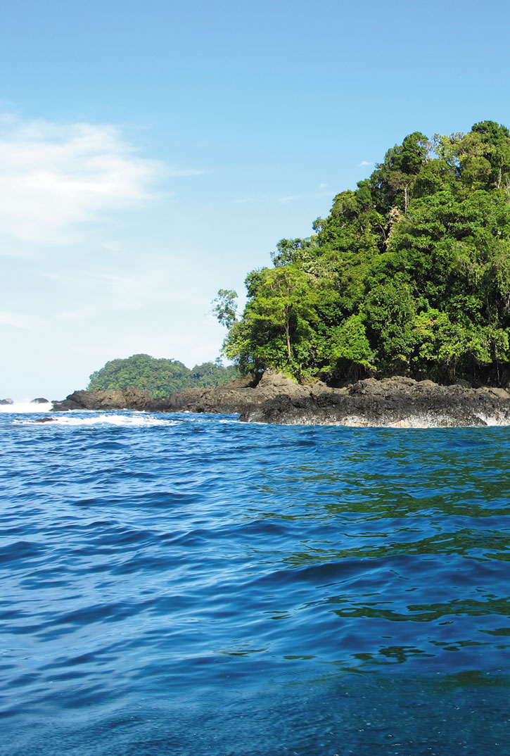 Parque Nacional Utría on the Pacific coast of Colombia.