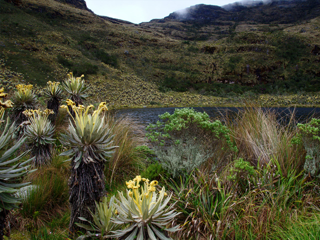 Iguaque National Park in Colombia.