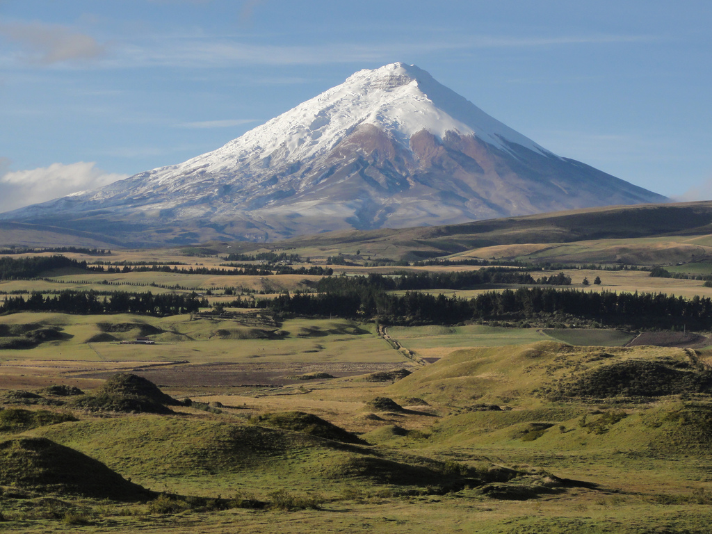The snow-capped conical volcano rises up in the distance beyond a grassy plain.