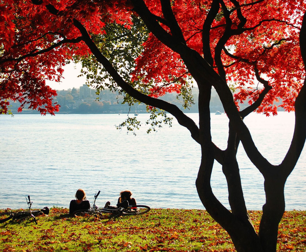 Cyclists sit resting on the shore beneath a tree with fall foliage.