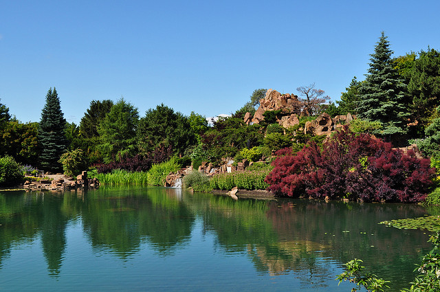 Spend a romantic afternoon at Montréal's botanical gardens.