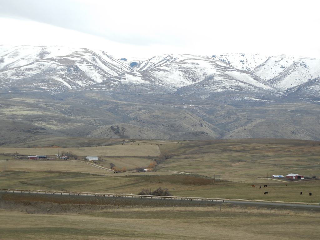 Grassy pastureland turns into rolling hills and then low, snow-capped mountains.