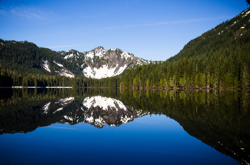 Trees and a snow-capped mountain are mirrored perfectly in the glassy surface of Elk Lake.