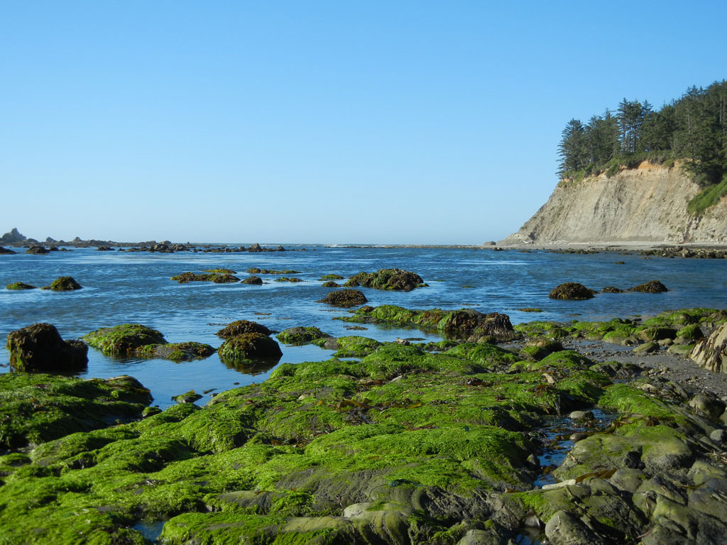 Ground view of tidepools at low tide with cliffs in the distance.