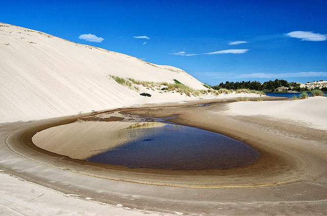 About 50 miles long, but only a couple of miles wide, the Oregon Dunes National Recreation Area stretches along the coast from Coos Bay to Florence.