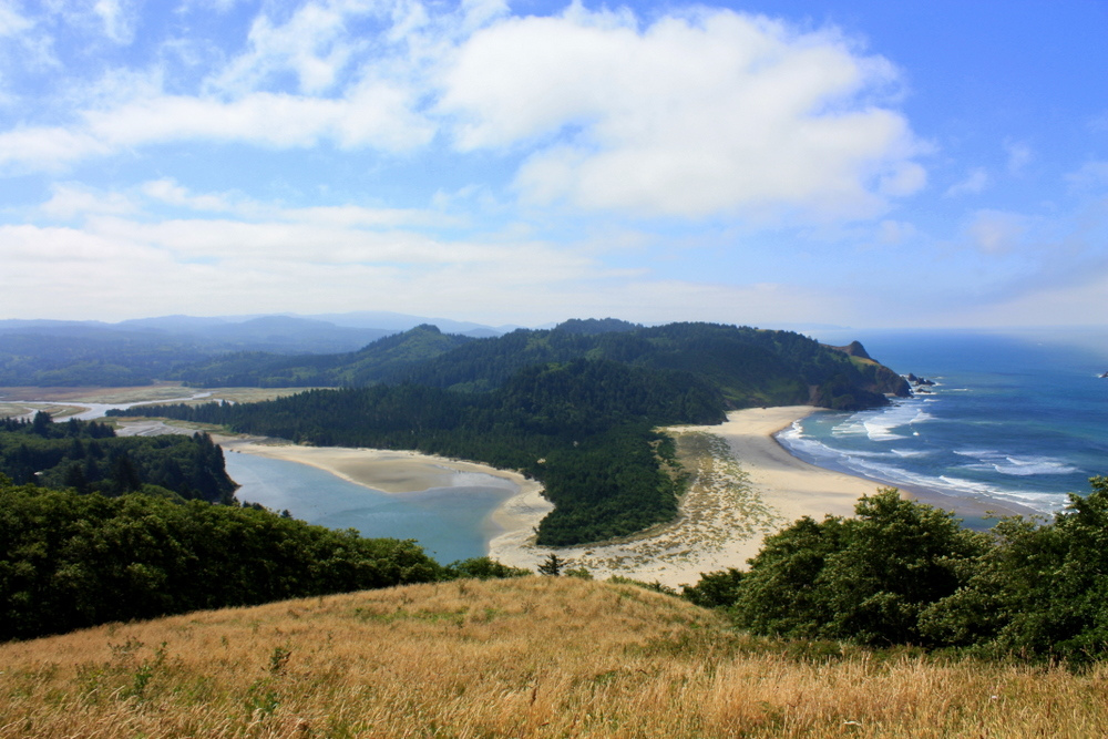 View from atop a golden grassy hill of a sandy peninsula.