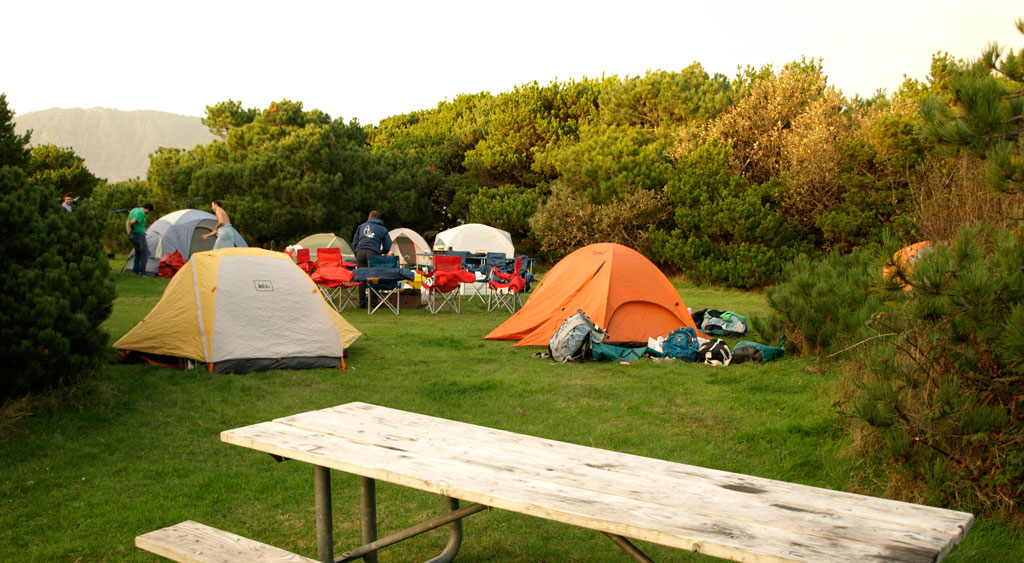 Tents set in a grassy clearing with late afternoon sun hitting nearby trees.