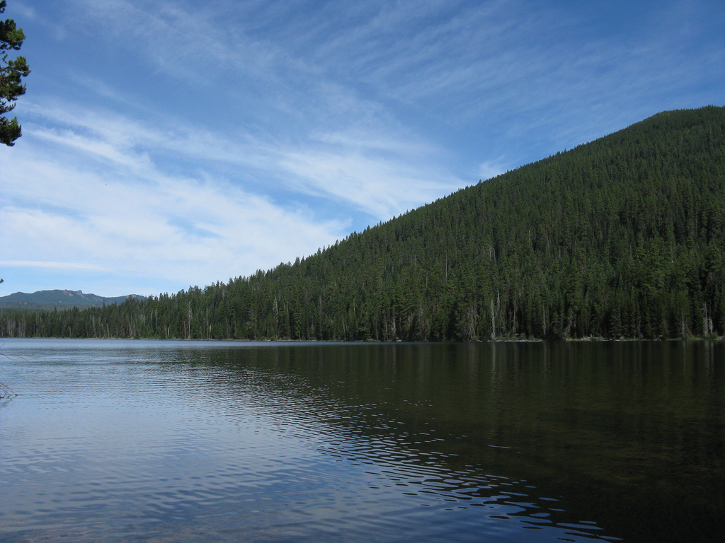 Trees carpet a rise in the mountains above the tranquil surface of Cultus Lake.