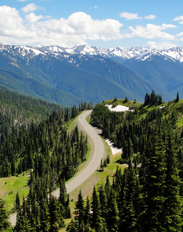 U.S. 101 passes through forest, a reservation, and part of the Olympic National Park. 