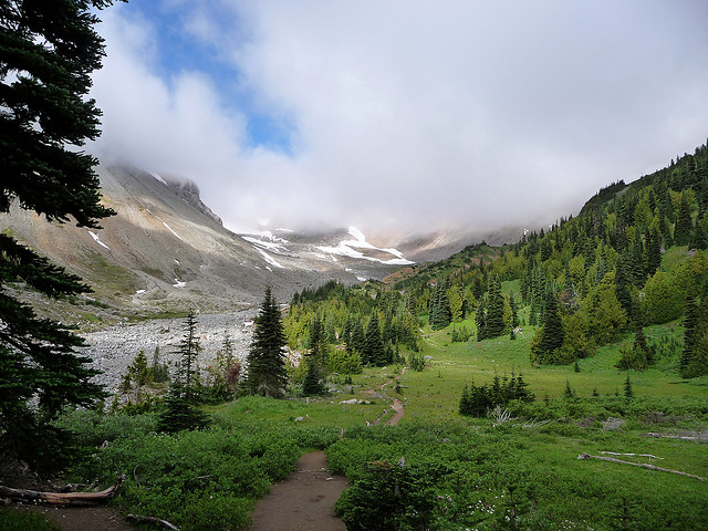 The view from Glacier Basin in Mt. Rainier National Park.