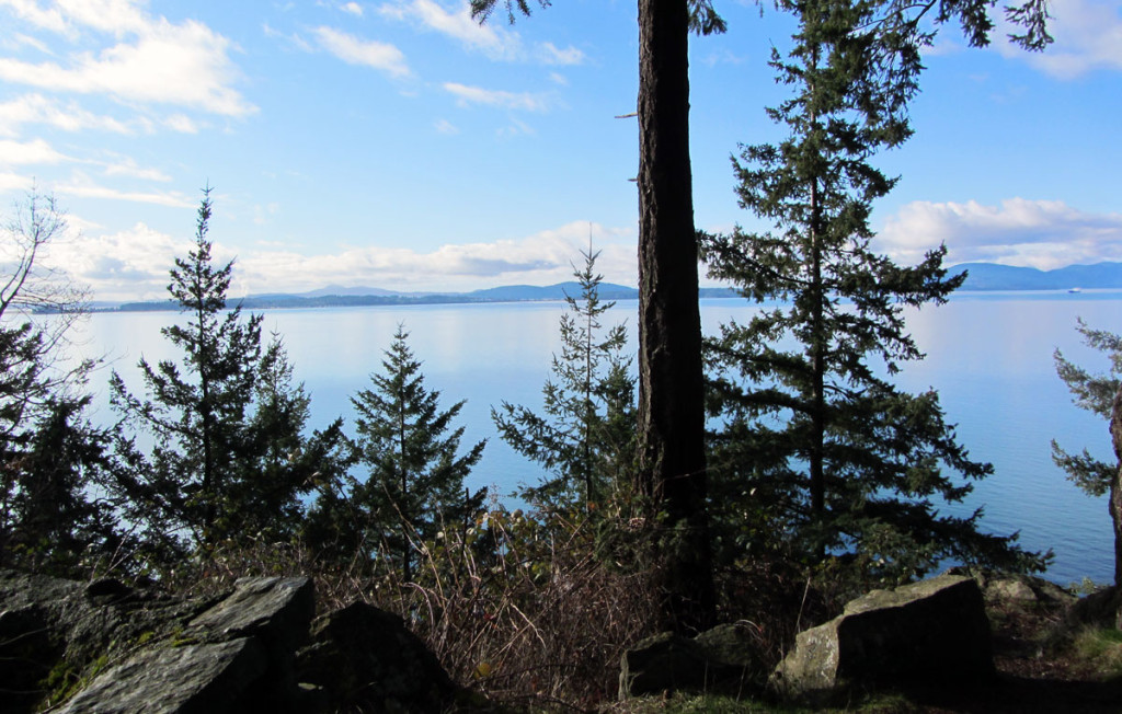 View of the San Juan Islands across the water with large rocks and pine trees in the foreground.