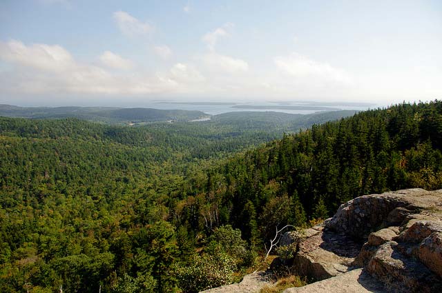 A rocky outcropping in the foreground with acres of forest atop Sargent Mountain in Acadia.