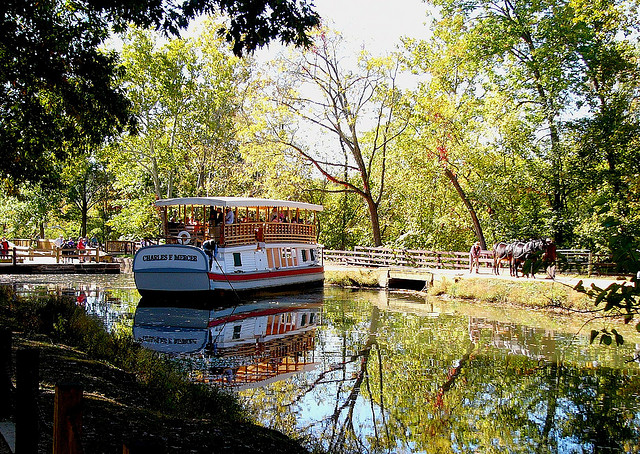 Mules pull a passenger barge on the canal.