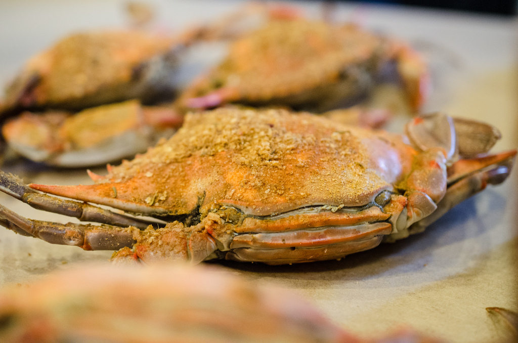 Whole crab encrusted with seasonings on a table at L. P. Steamers crab house.