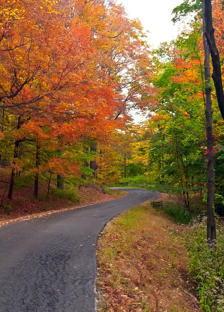 A curvy mountain road flanked by trees in autumn colors.