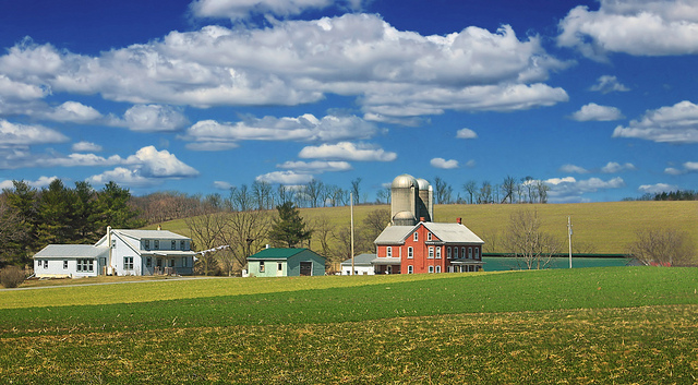 A bucolic farm setting with a cluster of wooden buildings and two silos.