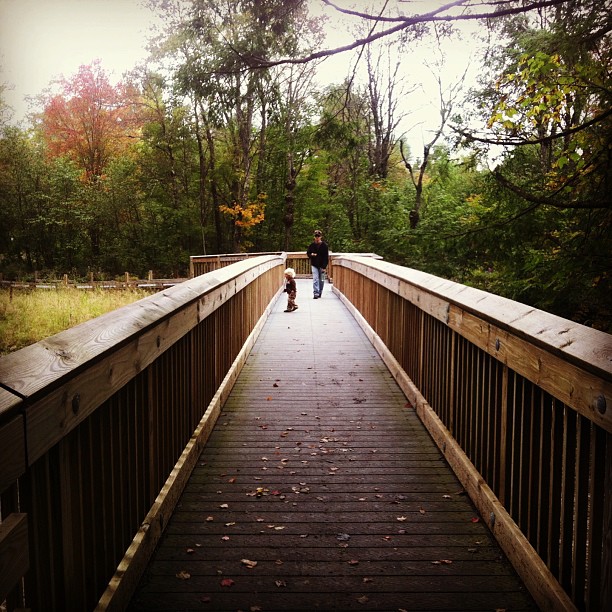 An adult and child walk along a raised wooden trail scattered with leaves.