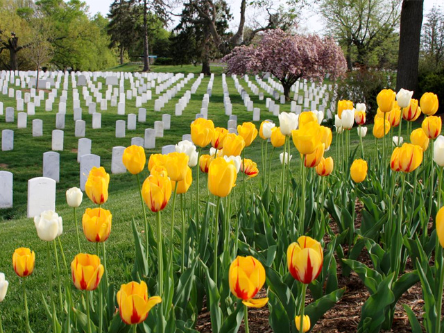 More than 300,000 soldiers from every U.S. military conflict are buried in Arlington National Cemetery.