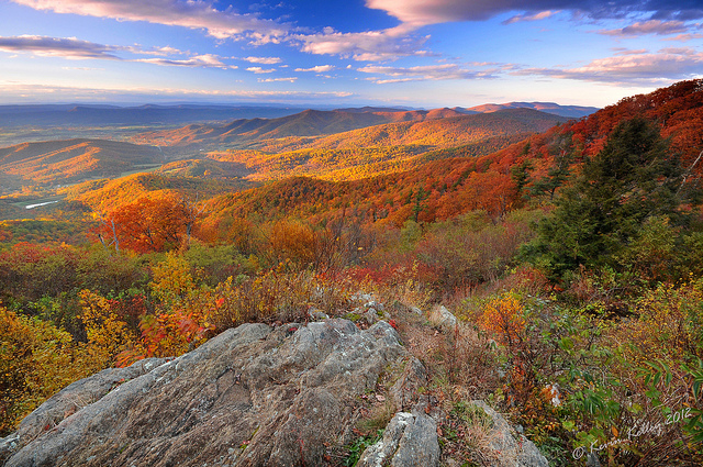 Shenandoah National Park in Virginia.