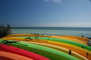 A row of kayaks lined up on the shore.