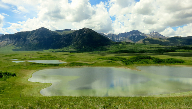 With dramatic landscapes and wildlife-watching opportunities, Waterton's Bison Paddock keeps all ages entertained.