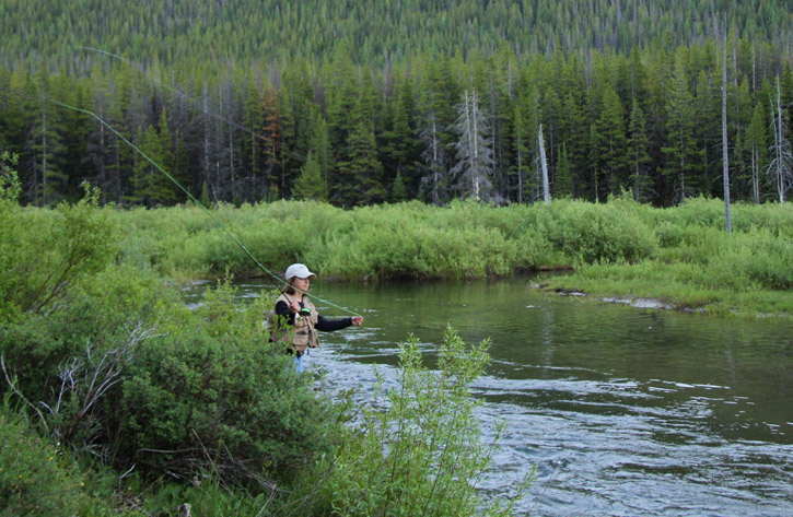 A fly fisherman casts her line into Meadow Creek in the Scapegoat Wilderness.