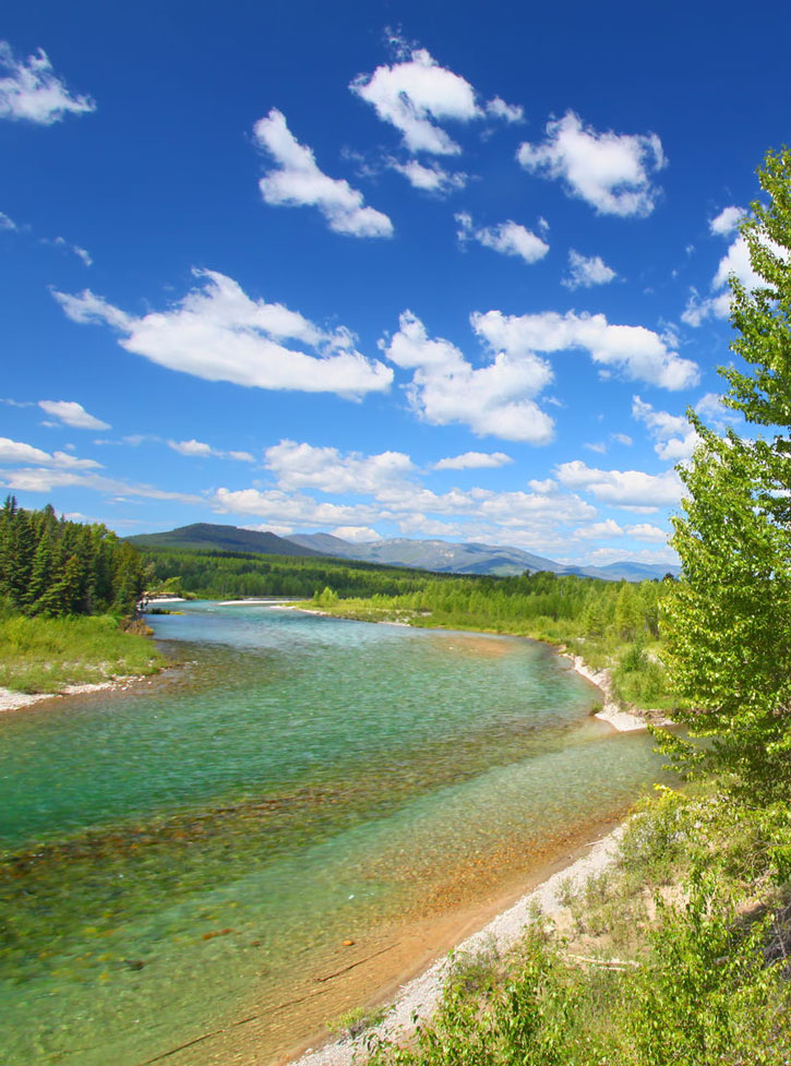 The north fork of the Flathead River flows through the landscape on a sunny day.
