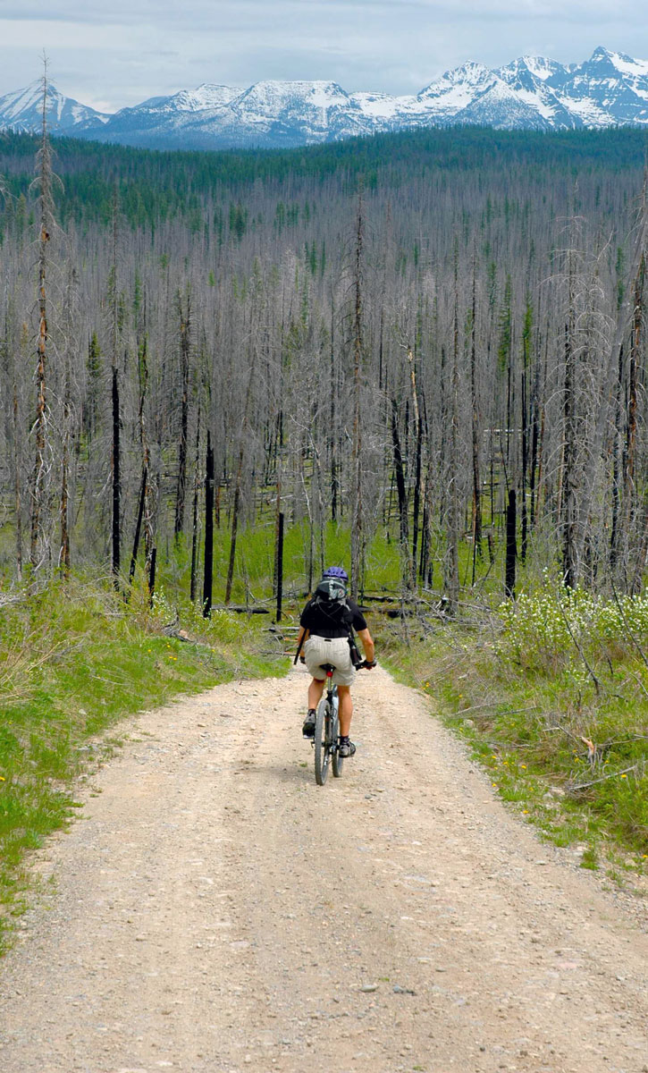 A mountain biker travels down the single lane hard dirt Inside Road in Glacier National Parks North Fork.