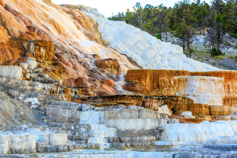 Terraced rock at Mammoth Hot Springs in Yellowstone.