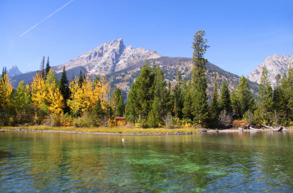 Trees just beginning to turn golden line the edge of beautiful Jenny Lake in Grand Teton National Park.