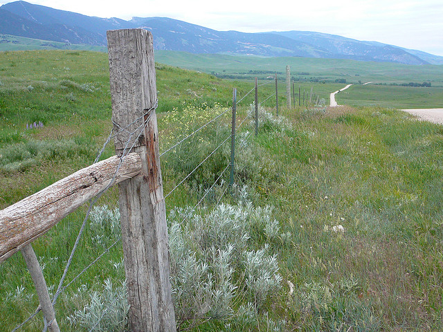 View along a fenceline in an expansive field with mountains in the distance.