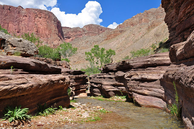 A shallow stream runs between striated rocks along the Deer Creek trail.