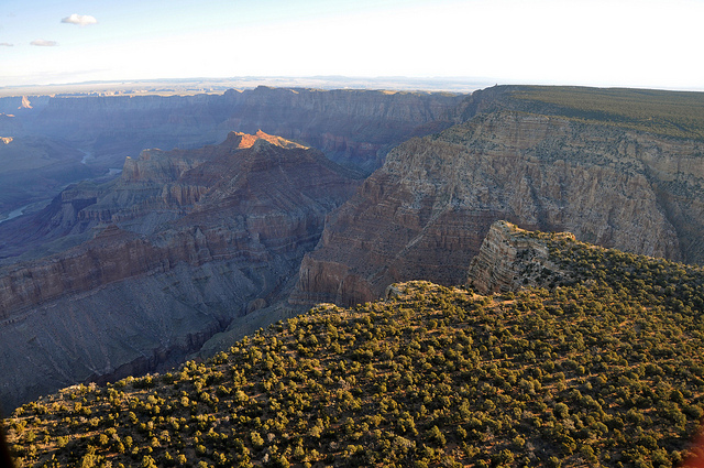 Aerial view of the Grand Canyon's South Rim .