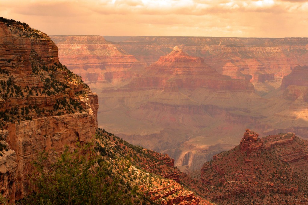 View into the Grand Canyon with scrub visible on the nearby rock.