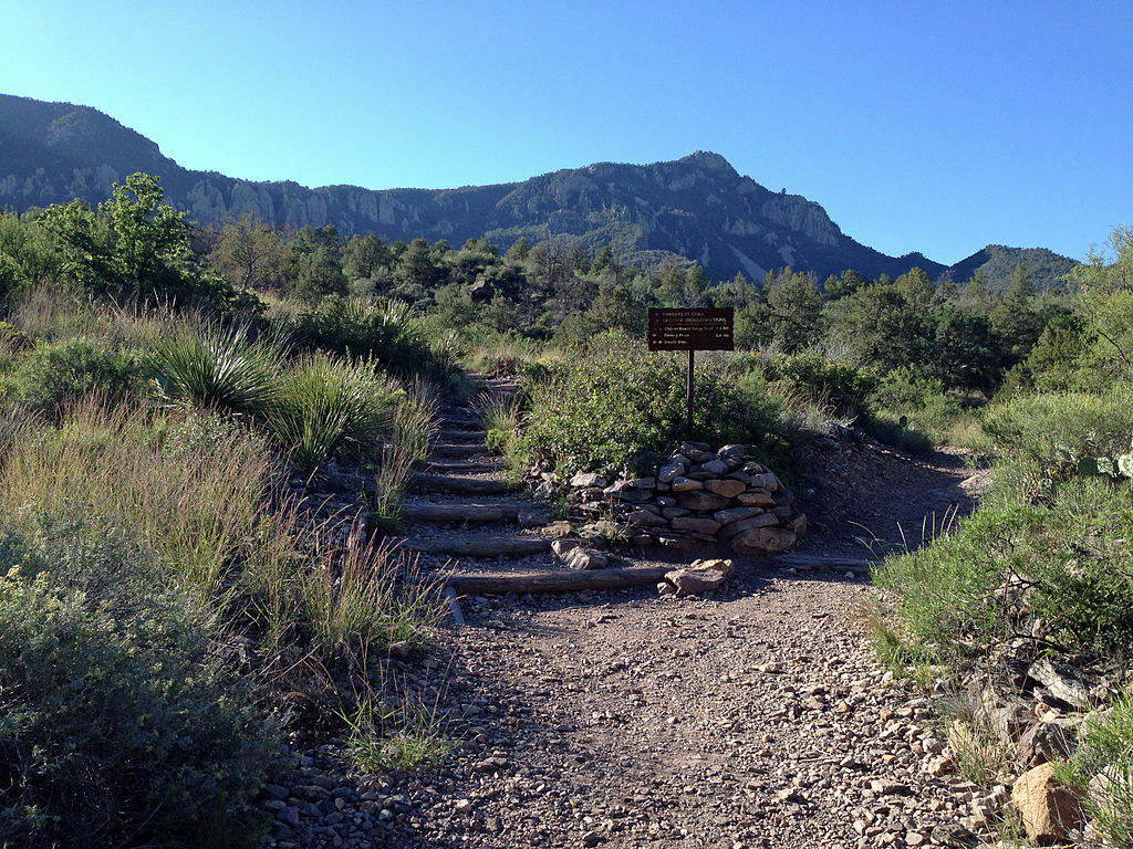 The intersection of the Laguna Meadows and Pinnacles trails below Emory Peak in Big Bend National Park, Texas. Photo © Fredlyfish4 (Own work) [<a href="http://creativecommons.org/licenses/by-sa/3.0">CC BY-SA 3.0</a>], <a href="https://commons.wikimedia.org/wiki/File%3ATrail_junction_and_Emory_Peak.JPG">via Wikimedia Commons</a>.